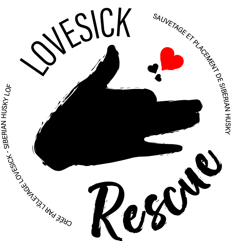 logo lovesick