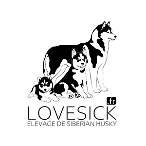 Logo Lovesick
